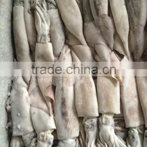 100-200g Frozen Japanese Squid thumbnail-1