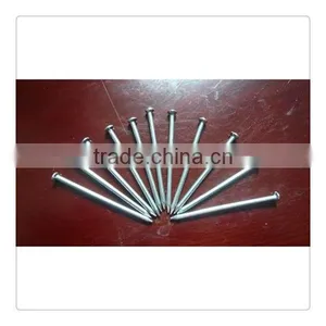 Common Nails Wood Nails in Xinyuan Hareware Factory thumbnail-1