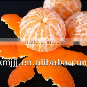 Best Baby Orange Fruit thumbnail-2