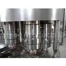 500ml PET Bottle 12 Head 4000B/h Automatic Water Bottle Filling Machine for Pure Water thumbnail-1