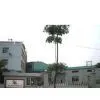 Dongguan City Sincere Nonwoven Co., Ltd. company overview - view 1 thumbnail