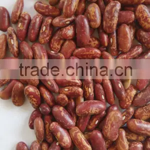 Organic Kidney Bean thumbnail-1