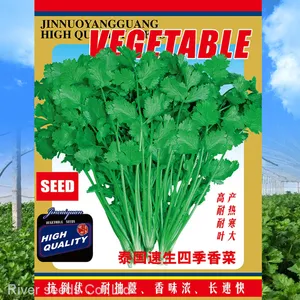 500g Good Price Vegetable Parsley Seeds Dhania Cilantro Chinese Coriander Seeds for Planting thumbnail-1