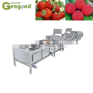 Plc Control Vegetable Sorting Machine / Weighting Fruit Grader for Sale Plastic Paper Threading thumbnail-1