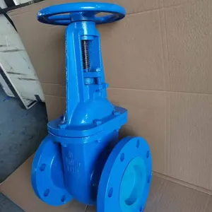 Threaded End ANSI Rising Gate Valve Small Size Industrial Rising Stem Gate Valve thumbnail-1