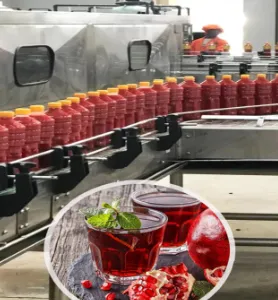 Automatic Pomegranate Juice Production Line thumbnail-2
