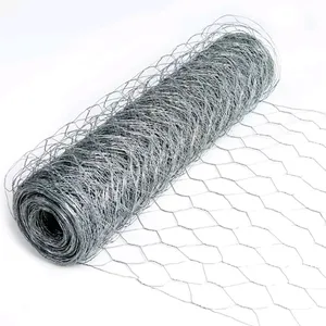 Hot Sale Galvanized Hexagonal Wire Mesh/Chicken Wire Netting thumbnail-1