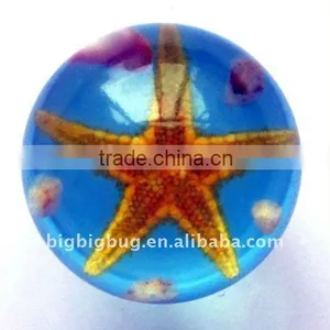 R2002HJ01Y Sea Life Sphere Crystal thumbnail-1