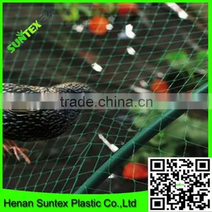 Supply Vineyard Anti Bird Net/bird Capture Nets With Low Price thumbnail-3