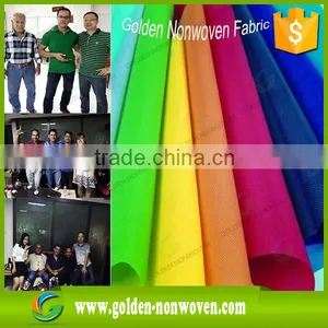 pp Nonwoven Fabric With Cross Pattern Used for Shoes thumbnail-6