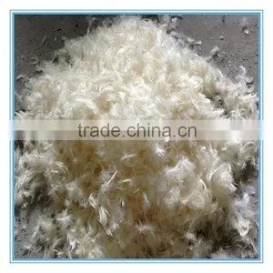White Duck Feather Duck Feather Jacket Duck Feathers for Sale thumbnail-1