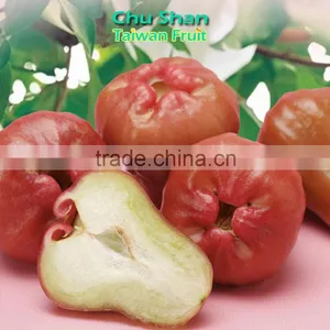 Best Quality FreshWax Apple thumbnail-4