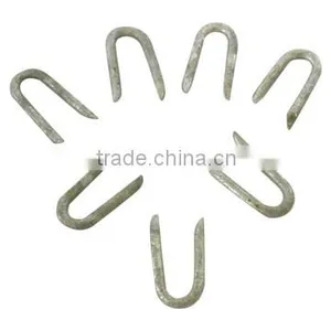 Fence Staple thumbnail-1