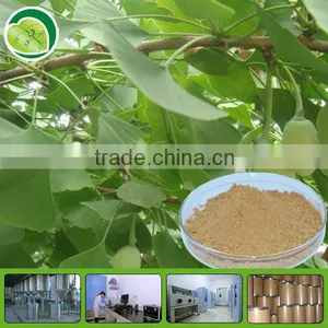 Ginkgo Biloba Extract thumbnail-1
