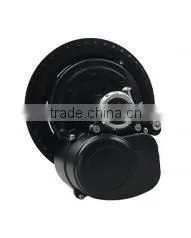 Mid Electric Motor for Bike Coaster ( TS 36V 250W ) thumbnail-1