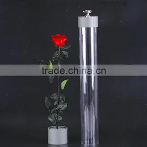2016 Yiwu Aimee Wholesale Fresh Colorful Preserved Flower(AM-PF08) thumbnail-1