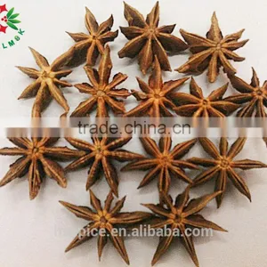 Spice/ Organic Star Aniseeds thumbnail-2