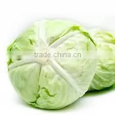 GIMEX VIETNAM FRESH CABBAGE CHEAP thumbnail-2