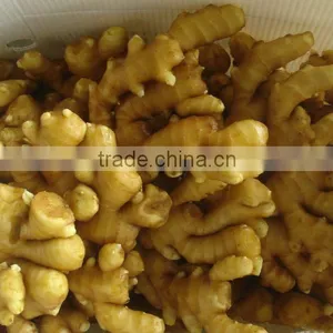 Supply Super Ginger and Ginger Market Price thumbnail-1