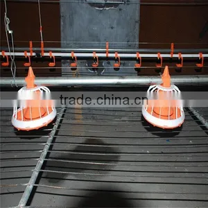 Automatic Poultry Feeder thumbnail-4