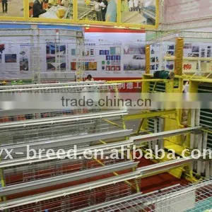 Chicken Cage Factory for Poultry Farm Automatic Layer Chicken Cage thumbnail-1