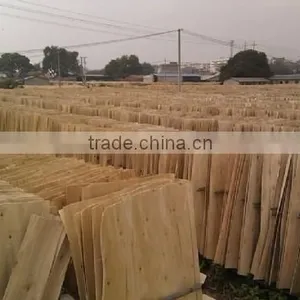 FACTORY PRICE PROFESIONAL SHORT CORE VENEER FOR PLYWOOD thumbnail-1