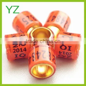 Golden-alumium Inside Coated by Transparent Red Plastic Foot Rings Pigeon thumbnail-1