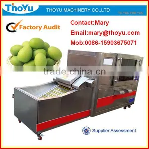 Good Quality Olive Seed Removing Machine(SMS: 0086-15903675071) thumbnail-1