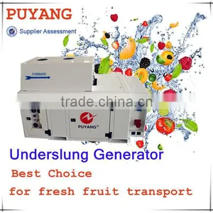 Container Used Underslung 16kw Generator for Reefer for Fresh Seafood thumbnail-3