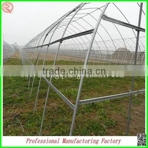 Plastic Multi-span/single-span Greenhouse for Plant Growing With Arched Type thumbnail-4