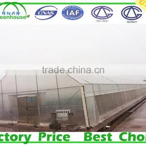 High Quality Geodesic Dome Greenhouse for Sale thumbnail-6