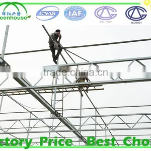 Large Size and Glass Cover Material Low Cost Greenhouse thumbnail-5