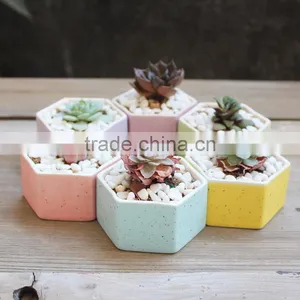 Hot Sale Rainbow Hexagon Flower Pot Ceramic for Planter thumbnail-2
