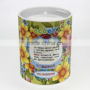 Fashion Twelve Constellations Lucky Flower Potted Plant -forget-me-not thumbnail-1