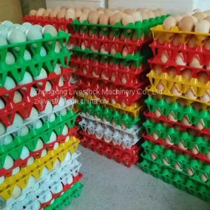Plastic Egg Tray (chicken Eggs, Duck Eggs, Breeding Eggs) thumbnail-2