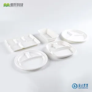 Disposable Biodegradable 10 INCH 3C PLATE Take Away Sugarcane thumbnail-4