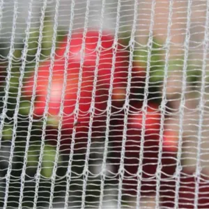 Good Quality Woven Drape Anti Bird Netting Vineyard 10 Years thumbnail-1