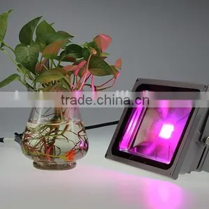 Long Lifespan Rgb Flood Light thumbnail-4
