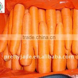 High Quality Chinese Fresh Red Carrot Supplier(80g Up) thumbnail-1