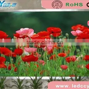 Iran P12 Led Modules Outdoor Fullcolor Display thumbnail-1