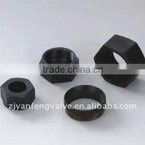 Female Check Nut thumbnail-1