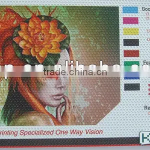 UV Printing One Way Vision thumbnail-2