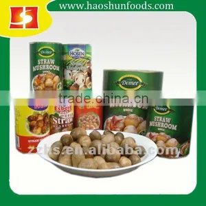 Canned Straw Mushroom in China thumbnail-1