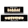 CE Certification Synthetic Resin Teeth thumbnail-1