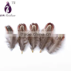 Decorative DIY Feathers,wholesale Beautiful Pheasant Feathers thumbnail-1