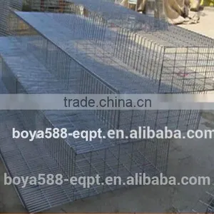 Automatic Rearing Cages for Quail thumbnail-1
