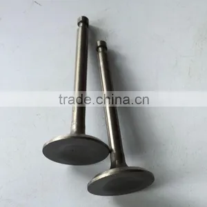188F BISON China Taizhou Exhaust Valve, Valve Exhaust, Engine Valve thumbnail-5