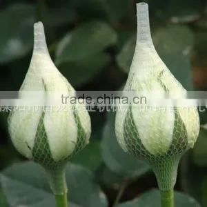 Packing Net for Flower thumbnail-1