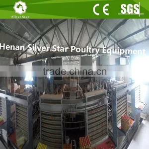 Manufacture Best Price Automatic Egg Collecting Equipment System thumbnail-1