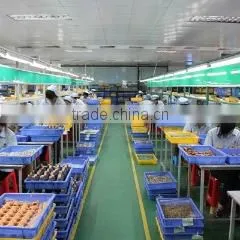 Shenzhen Mabell Animation Culture Development Co., Ltd. company overview - view 4 thumbnail